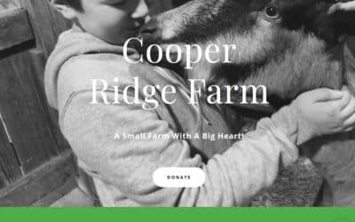 Cooper-ridge-3-400x250